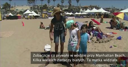 Rekiny u wybrzeży Kalifornii