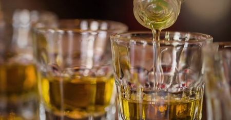 Alkohol a organizm człowieka [Specjalista radzi]