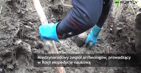 Na Syberii odnaleziono szczątki mamuta