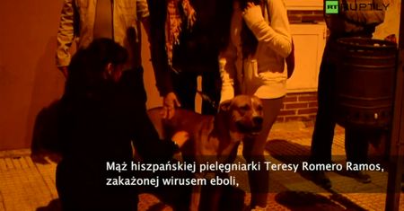 Pies chorej na ebolę będzie uśpiony