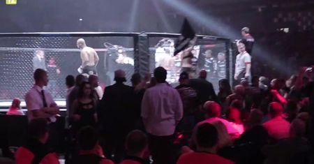 KSW 28: czarujące Ring Girls w akcji