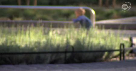 Pedofil przyłapany we Wrocławiu