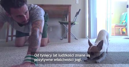 Pies i jego pan razem ćwiczą jogę