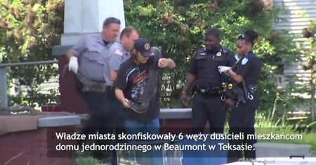 Trzymali w domu 6 węży dusicieli