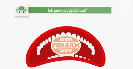 Jak powstaje próchnica?