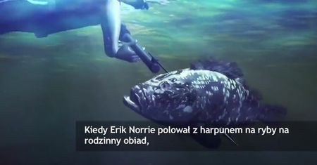 Zaatakował go rekin, poraził piorun...