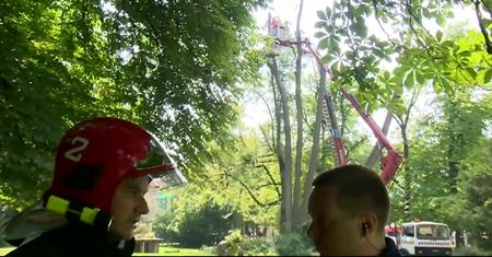 Tragiczna śmierć 4-latki. Nowe fakty