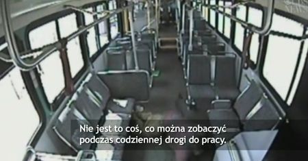 USA: Szokujące sceny w autobusie