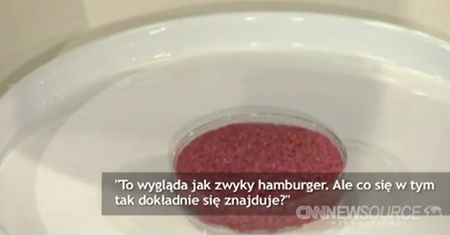 Pierwszy hamburger z probówki