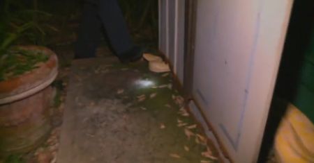 Oko w oko z gigantycznym wężem