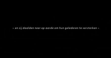 Borgman (2013)