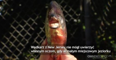 USA: Zaskakujący finał wędkowania
