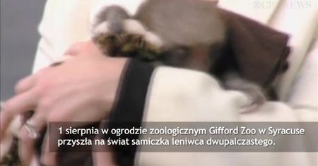 Ma już prawie pięć miesięcy i ciągle śpi