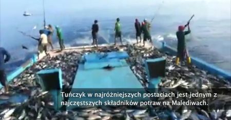 Widowiskowy połów na Malediwach