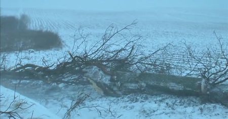Strażacy ostrzegają przed 'Ksawerym'