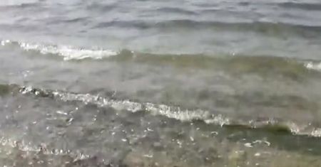 Rozmowa z ukraińskim marynarzem [Relacja WP.PL z Krymu]