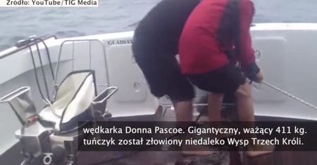 Tuńczyk-gigant złowiony w Nowej Zelandii