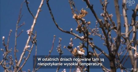 Wiosna w Rumunii