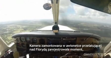 Samolot zderzył się z ptakiem