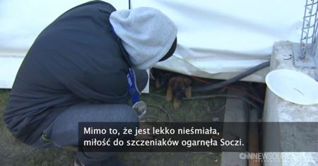 Gus Kenworthy uratował szczeniaki