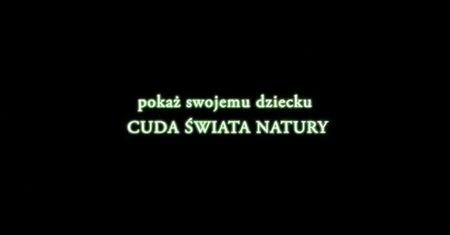 Amazonia. Przygody małpki Sai (2014)
