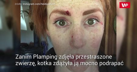 Drapnął ją kot. Kilka dni później nie przypominała samej siebie