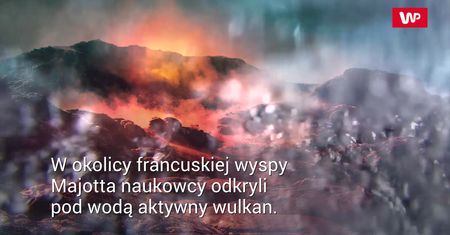 Większego nie wykryto. Spektakularne odkrycie ekspertów na dnie oceanu