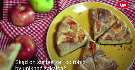 Podpowiadamy jak uniknąć zakalca