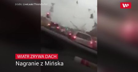 Stali na światłach. Nagle kobieta wrzasnęła