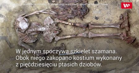 Odkryli groby sprzed 5 tys. lat. Znaleźli "kołnierz" z ptasich dziobów