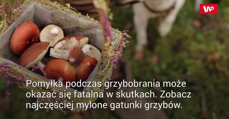 Unikaj jak ognia. Pomyłka może cię kosztować zbyt wiele