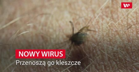 Nowy wirus przenoszony przez kleszcze