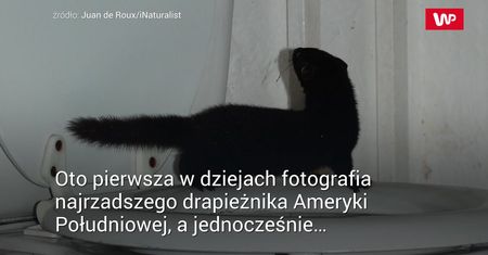 Wszedł do toalety, a tam... Zwierzę identyfikowali 7 lat