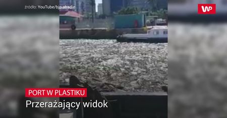 Śmieci to nie problem? No to zobaczcie