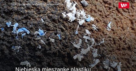 Odpływ na Maderze odsłonił dziwne skały. Naukowcy po raz pierwszy zbadali ich skład