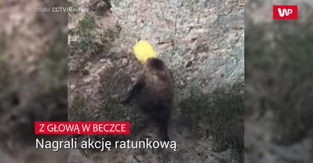 Ryczał, a na głowie miał beczkę. Nietypowe wezwanie