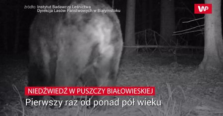 Wrócił po 56 latach. Niesamowite nagranie