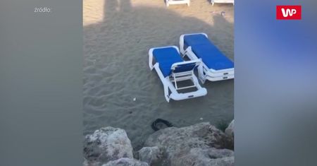 Wypełzły zza skały. Zaskoczony turysta wszystko nagrał