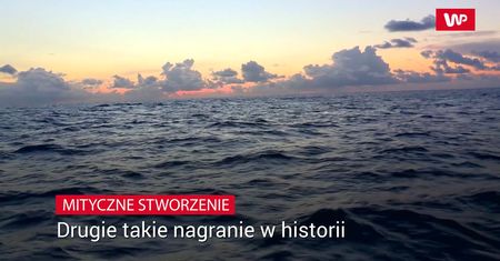 Mityczne stworzenie. Drugie takie nagranie w historii