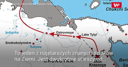 Ma 8000 lat. Naukowcy zdobyli ostateczny dowód na jego istnienie