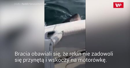 Bracia najedli się strachu. Plan przerósł ich samych