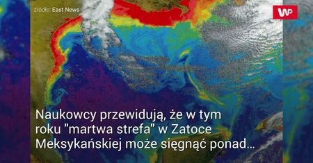 "Martwa strefa" w Zatoce Meksykańskiej