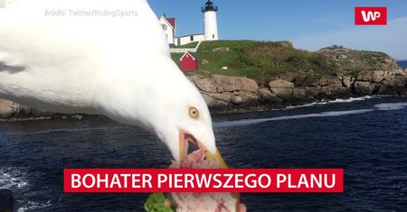 Wystarczyło 20 sekund. 34-latka zapamięta tę scenę na zawsze