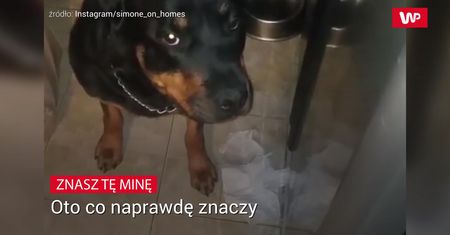 Każdy zna tę minę. Oto co naprawdę znaczy