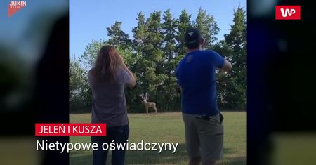 Nietypowe oświadczyny