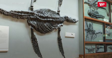 Czuli, że muszą ją ukryć. Prawda wyszła na jaw 150 lat później