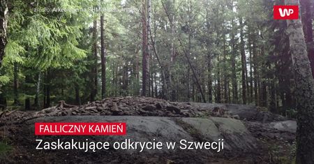 Falliczny kamień. Zaskakujące odkrycie w Szwecji