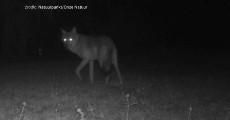 Pojawiła się nagle. Jej zniknięcie wywołało burzę