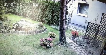 Policja publikuje wizerunek podjerzanego o włamanie