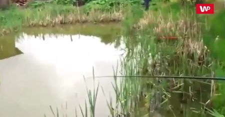 Wędkarz zaniemówił, kiedy zobaczył, co stało się ze złapaną rybą